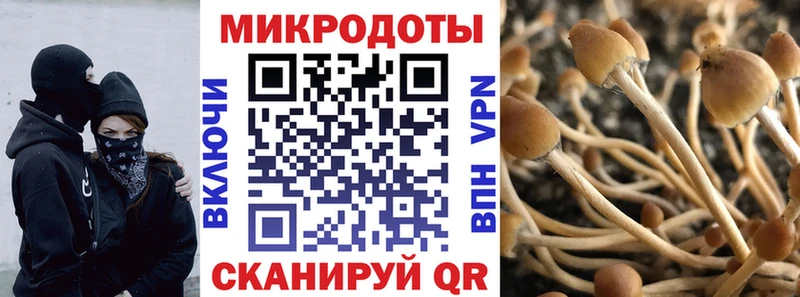 купить   Плёс  Псилоцибиновые грибы мухоморы 
